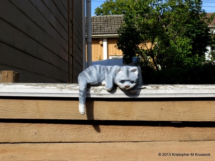 The Cats